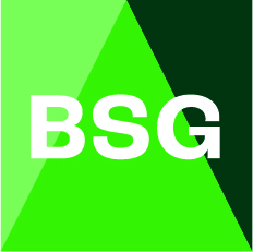 BSG std logo